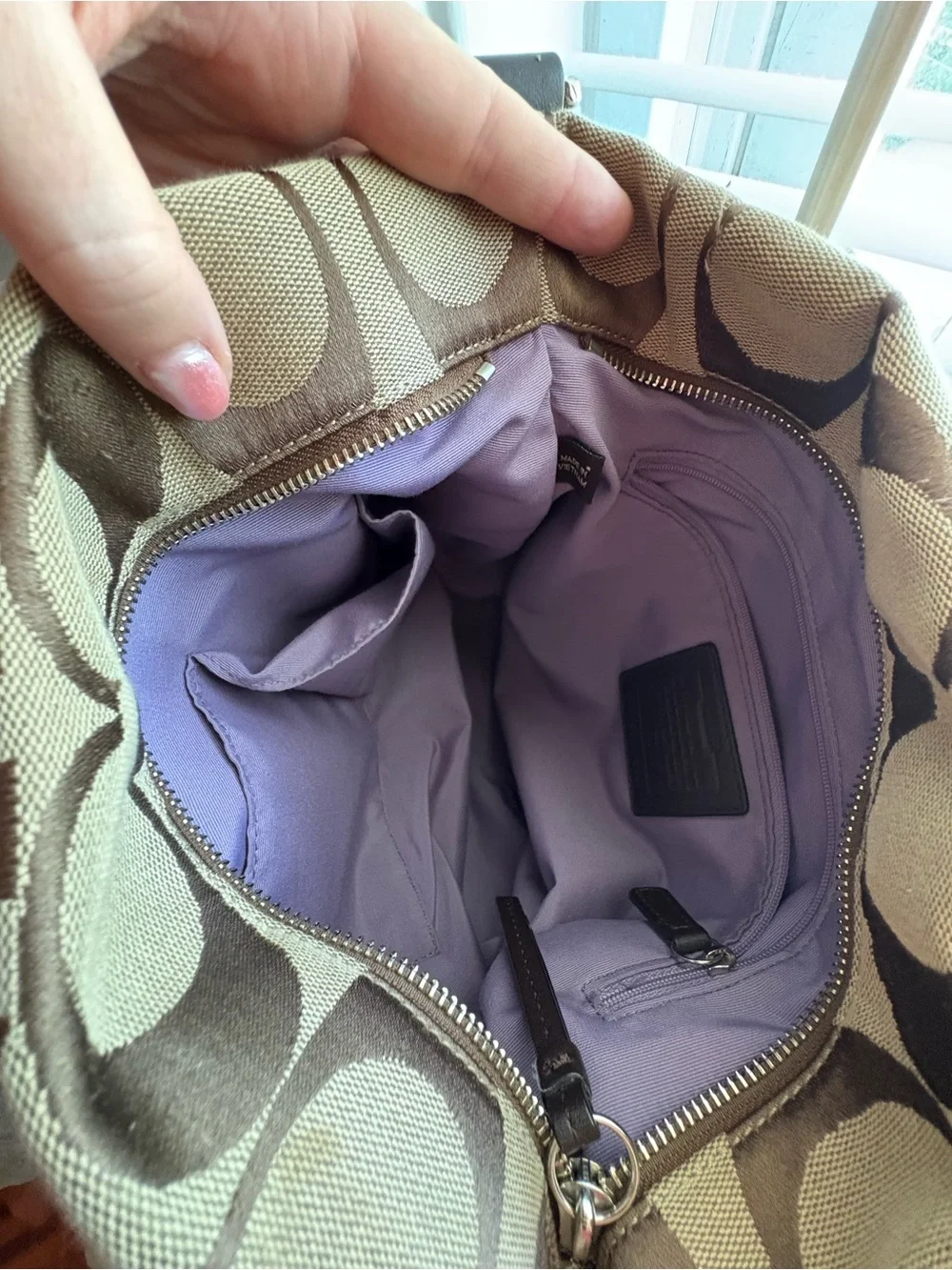 Coach Carly Hobo Bag